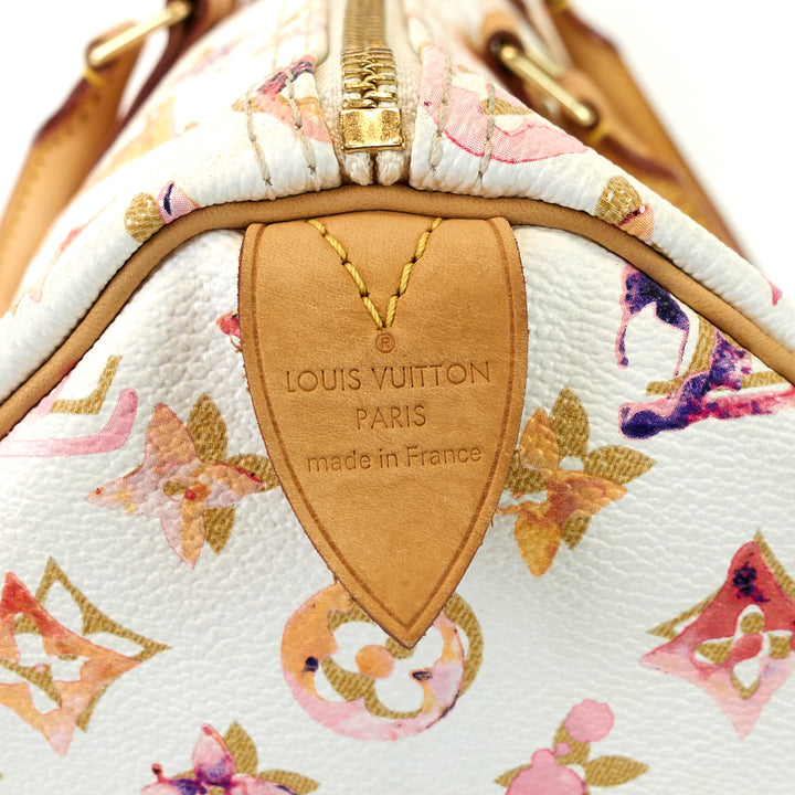 speedy 35 aquarelle monogram canvas bag