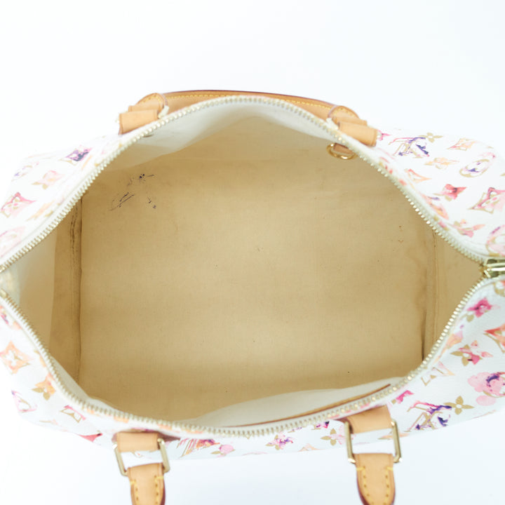 speedy 35 aquarelle monogram canvas bag