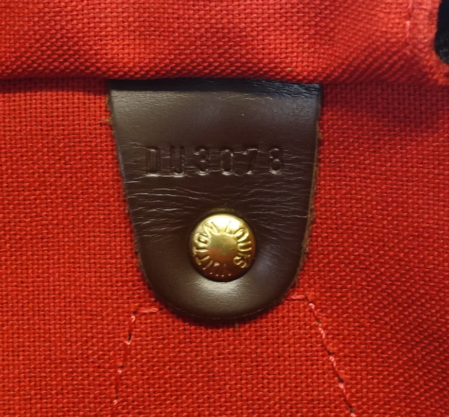 speedy 30 damier ebene canvas bag