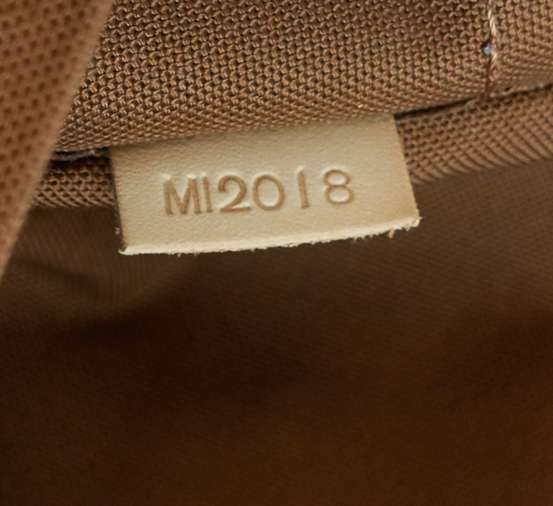 palermo gm monogram canvas bag