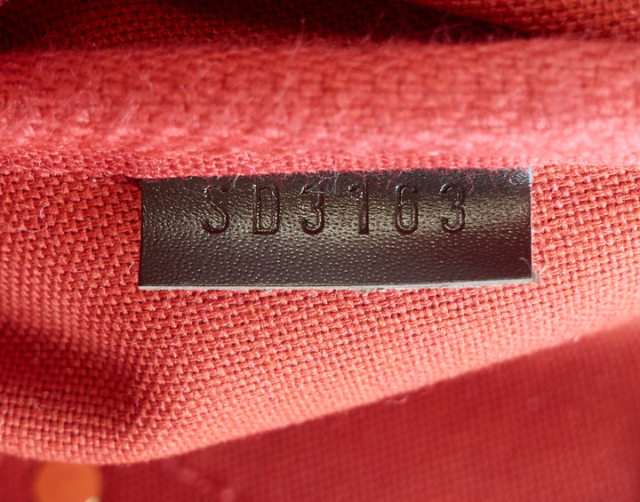 eva damier ebene canvas crossbody bag