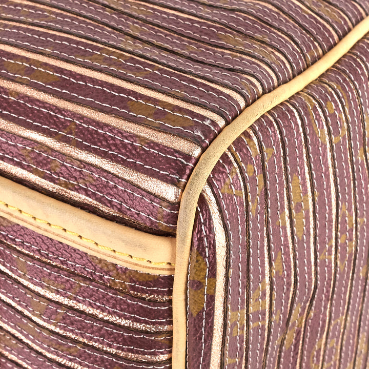 eden speedy bandoulière 30 canvas handbag