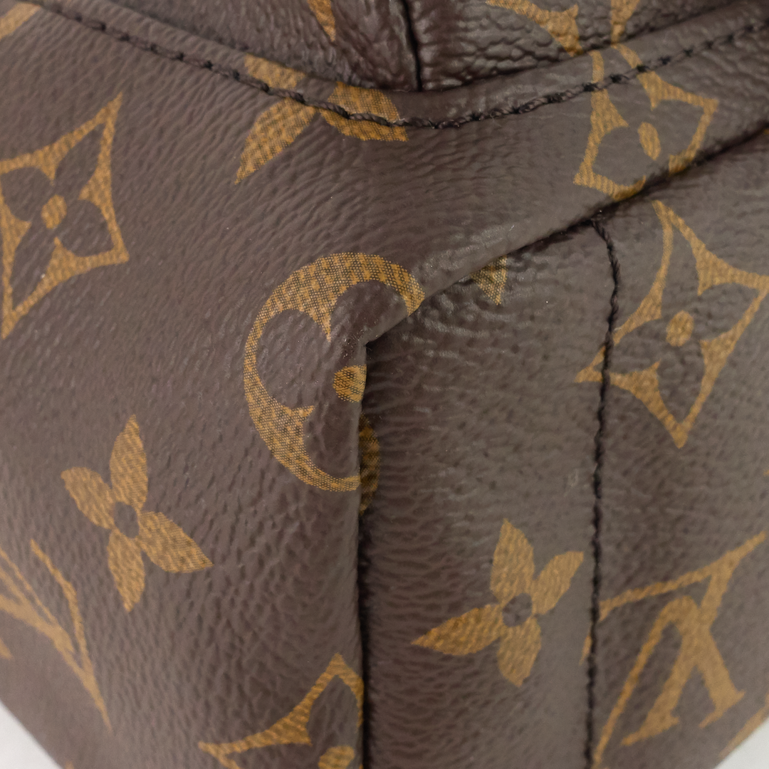 palm springs mini monogram canvas backpack