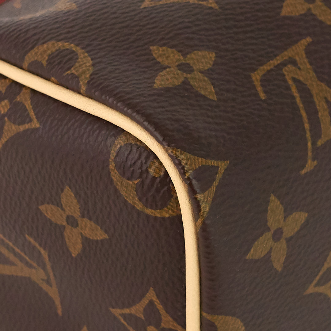 speedy nano monogram canvas bag
