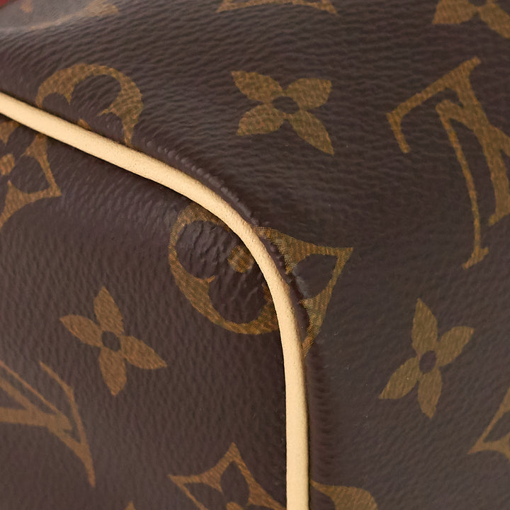 speedy nano monogram canvas bag