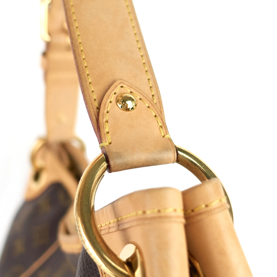 galliera pm monogram canvas bag