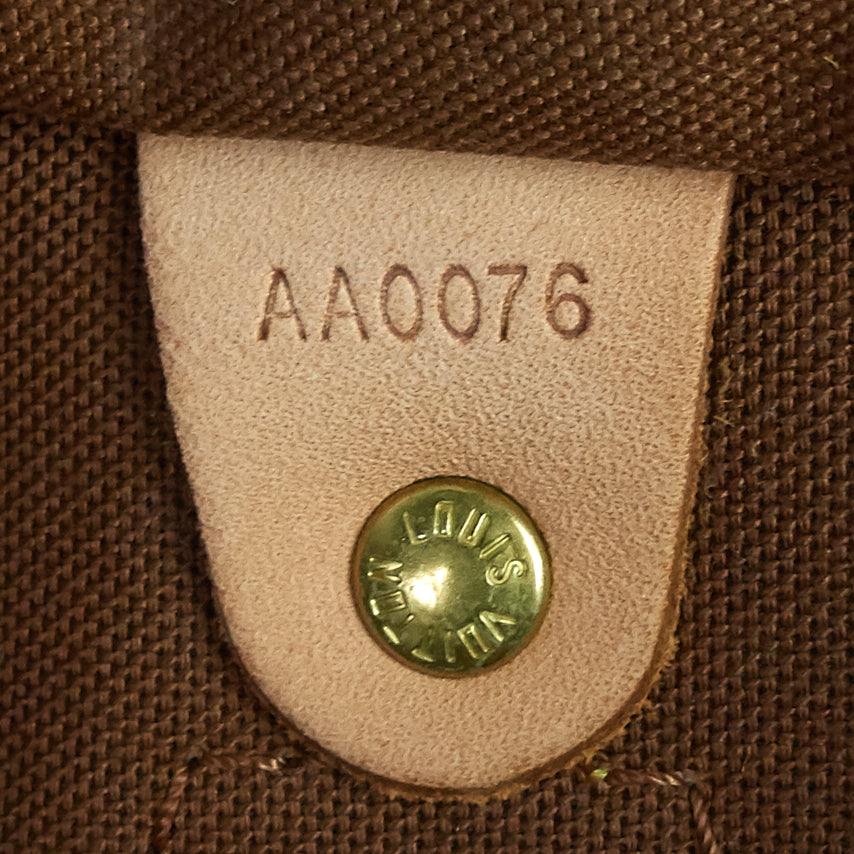 speedy 30 monogram canvas bag