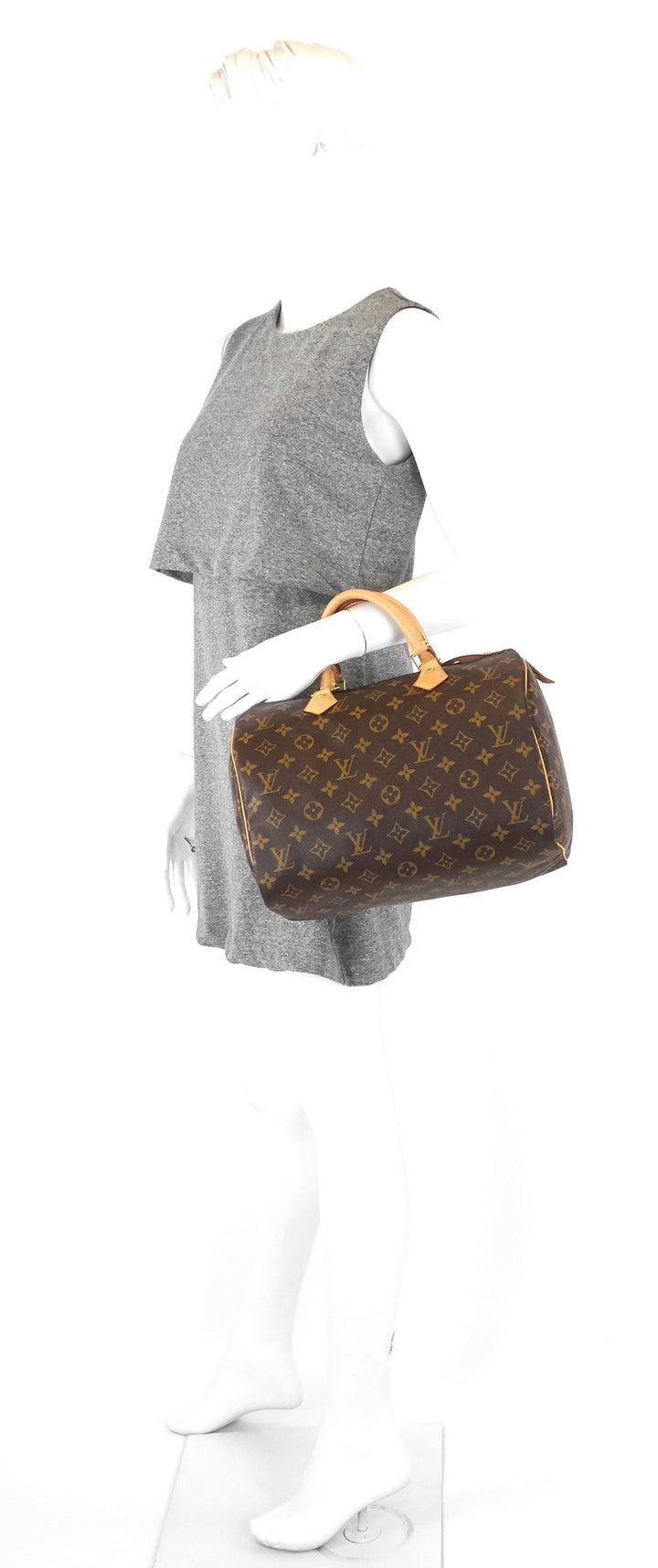 speedy 30 monogram canvas bag