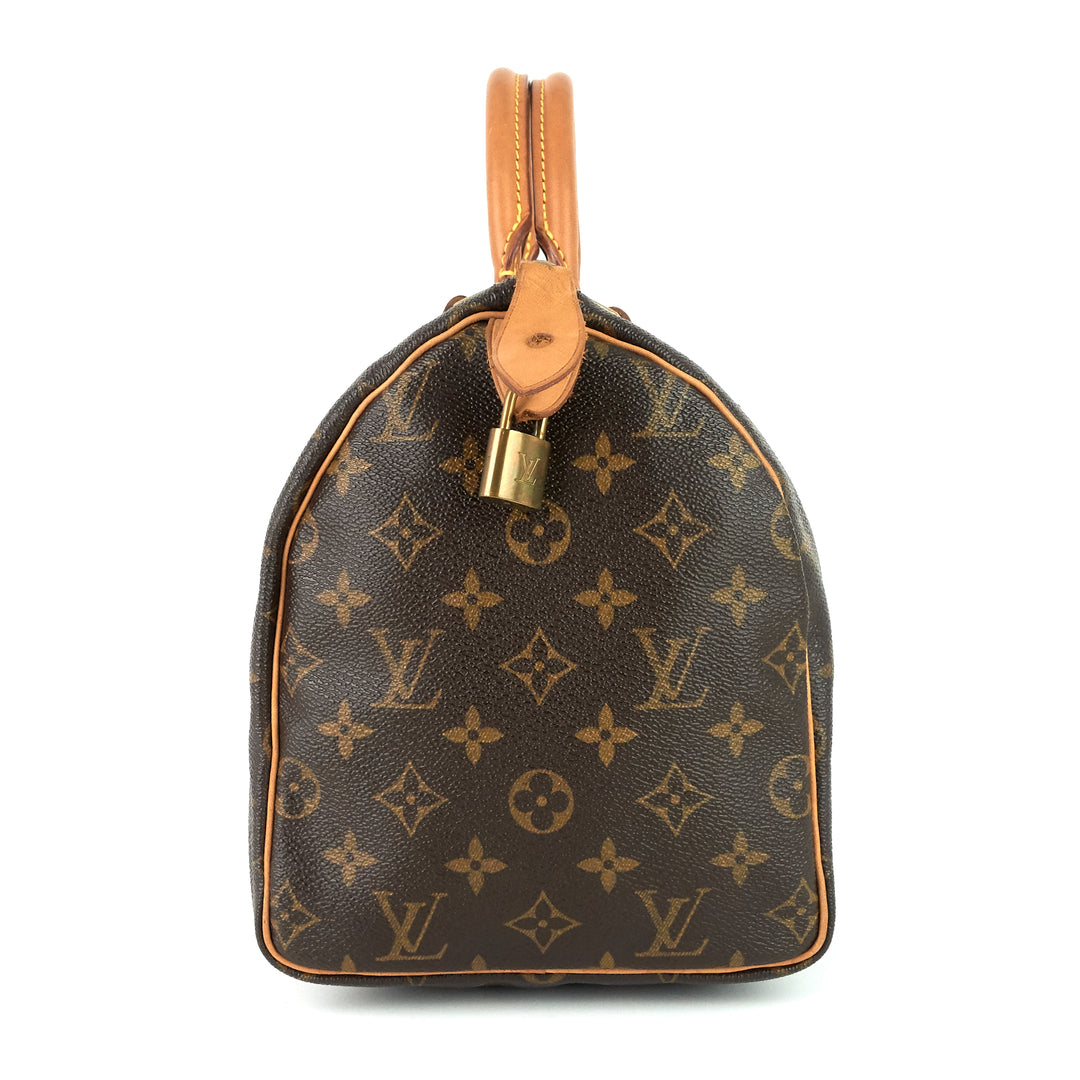 speedy 30 monogram canvas bag