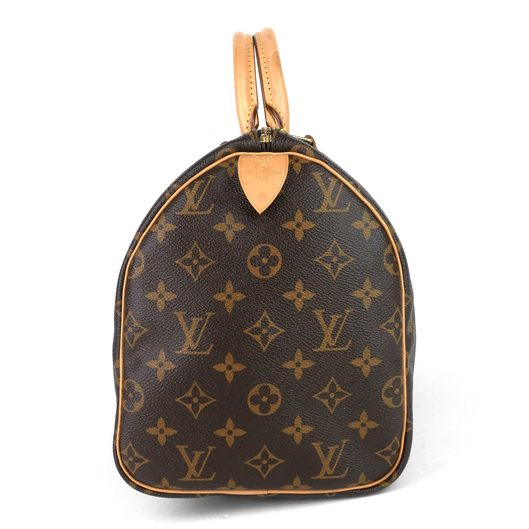 speedy 30 monogram canvas bag