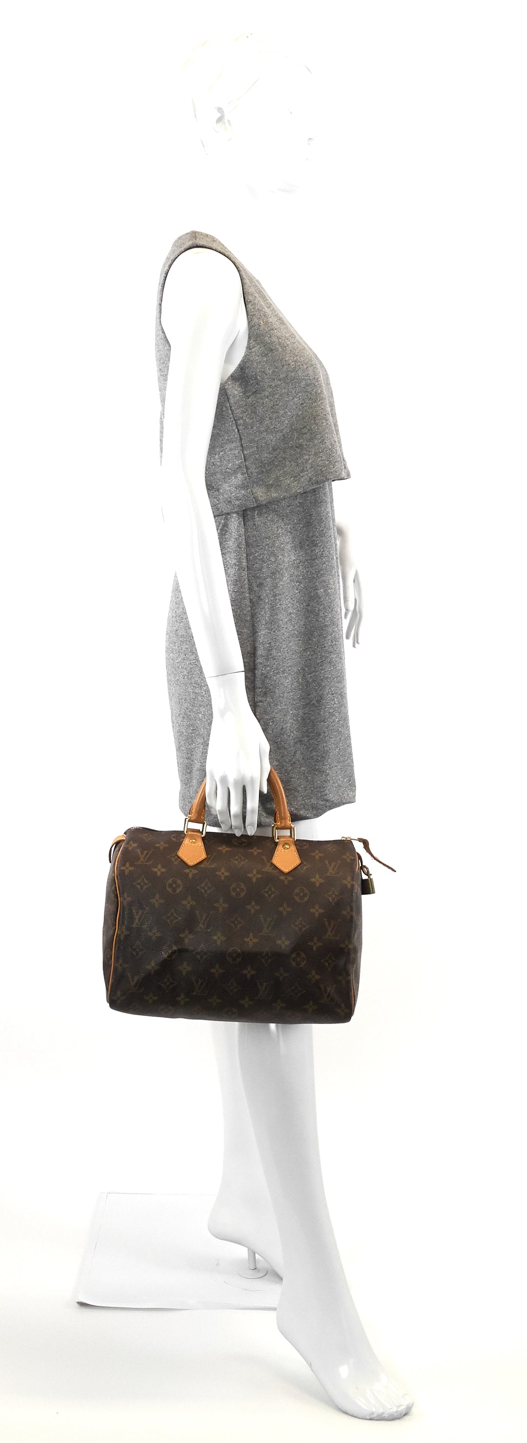 speedy 30 monogram canvas bag
