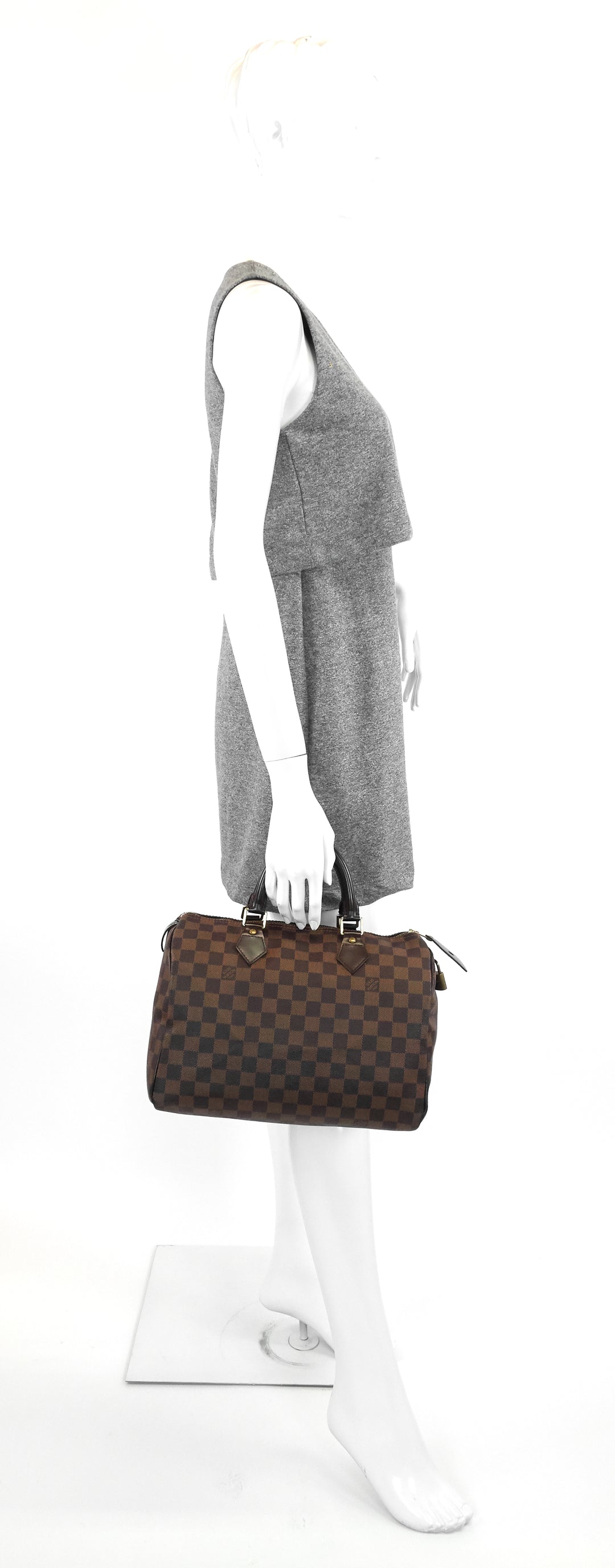 speedy 30 damier ebene canvas bag