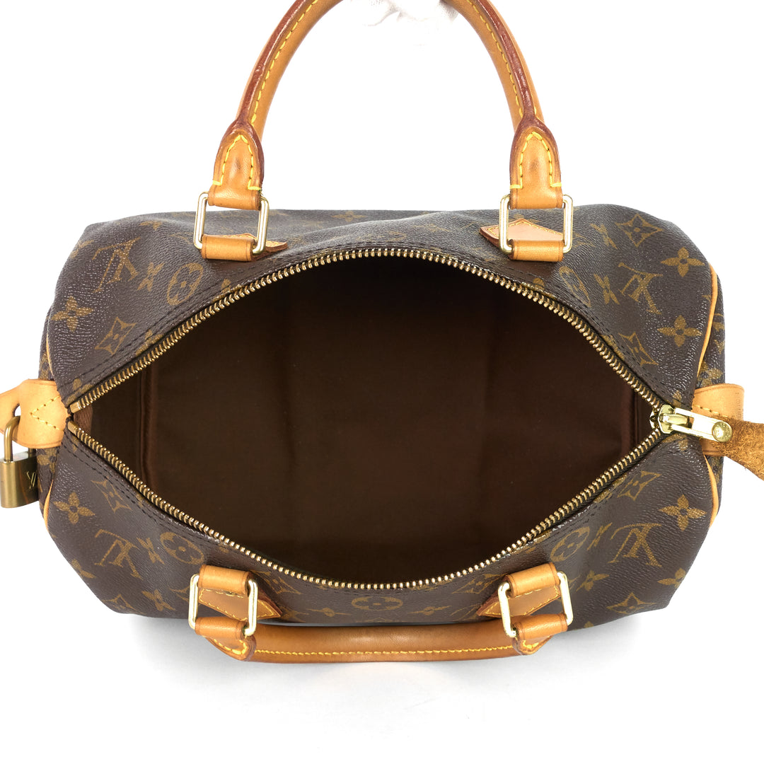 speedy 30 monogram canvas bag