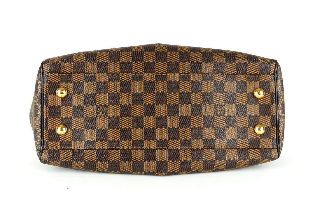 trevi pm damier ebene canvas bag