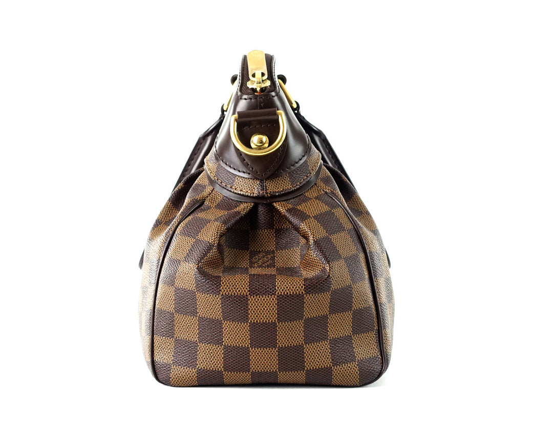 trevi pm damier ebene canvas handbag