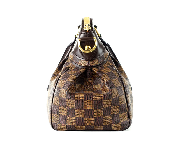 trevi pm damier ebene canvas handbag
