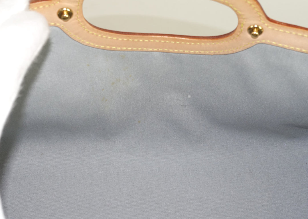 roxbury drive monogram vernis leather handbag