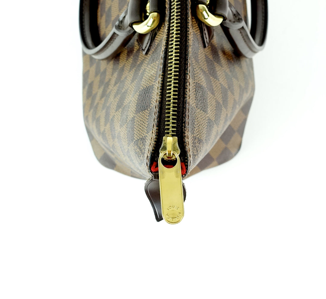 saleya pm damier ebene canvas tote bag