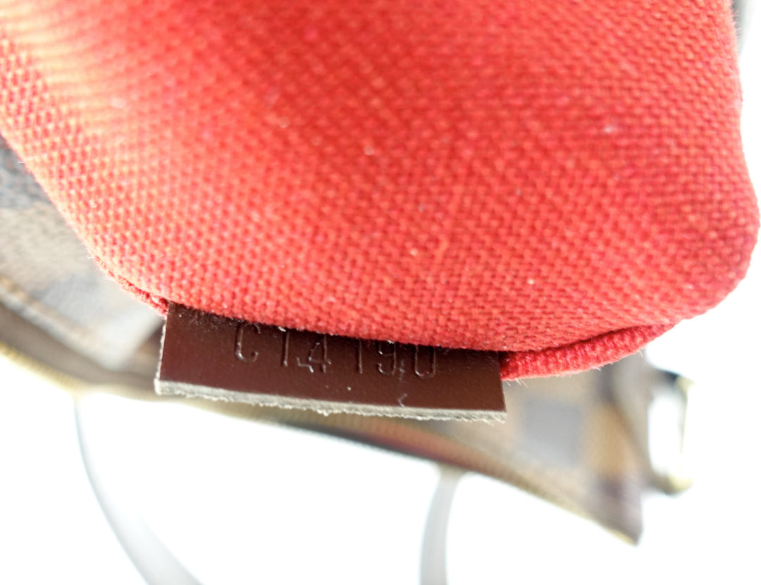 bloomsbury pm damier ebene canvas bag