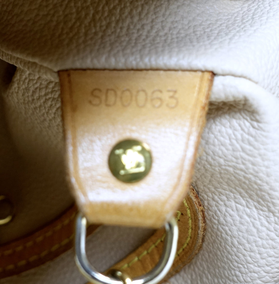 petit bucket monogram canvas shoulder bag with pochette bag