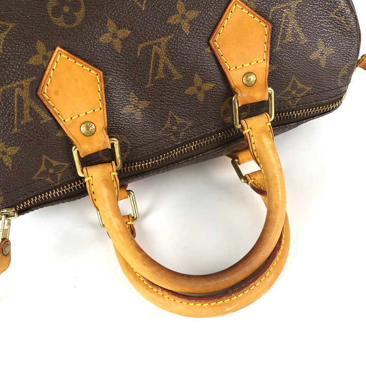 speedy 25 monogram canvas handbag