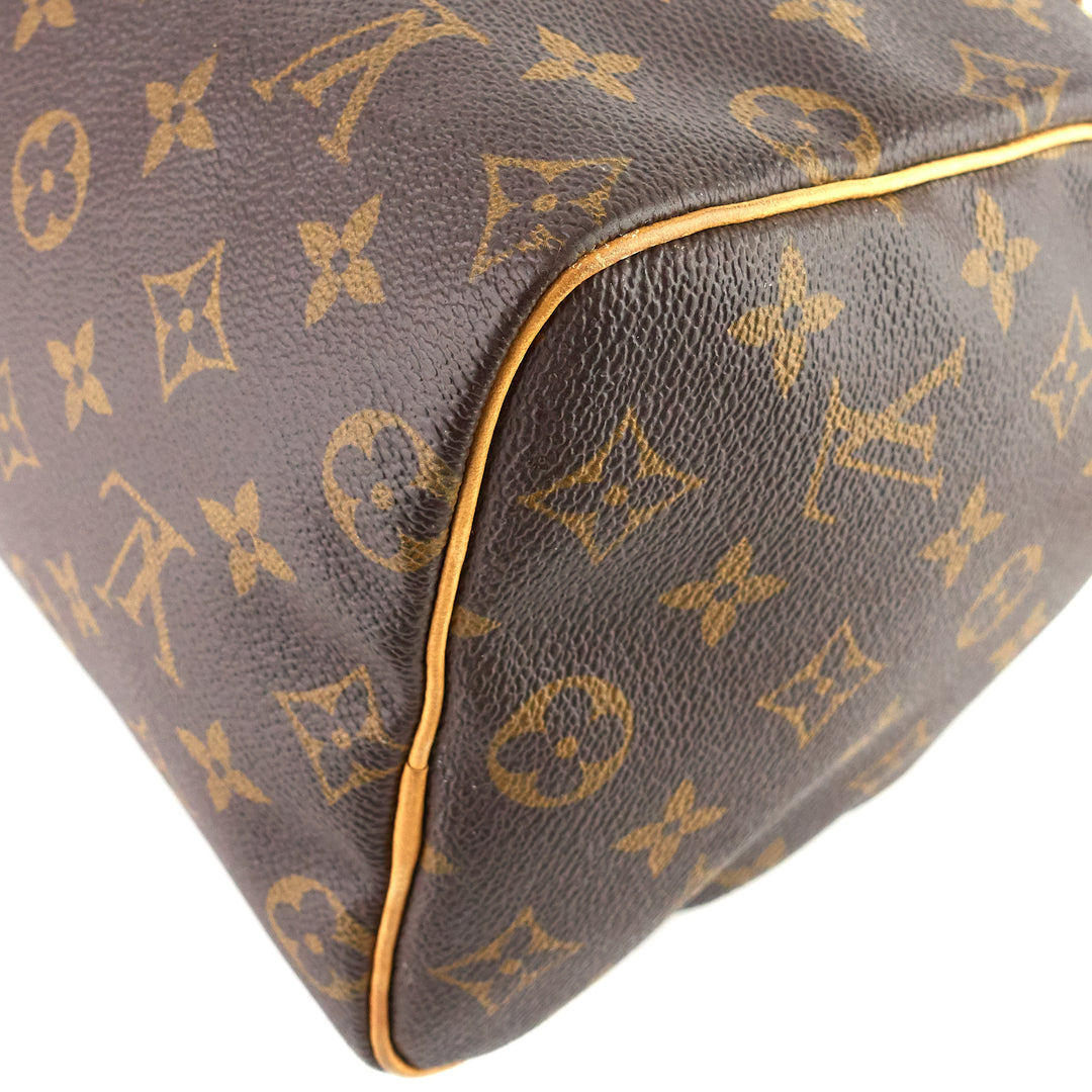 Speedy 25 Monogram Canvas Bag