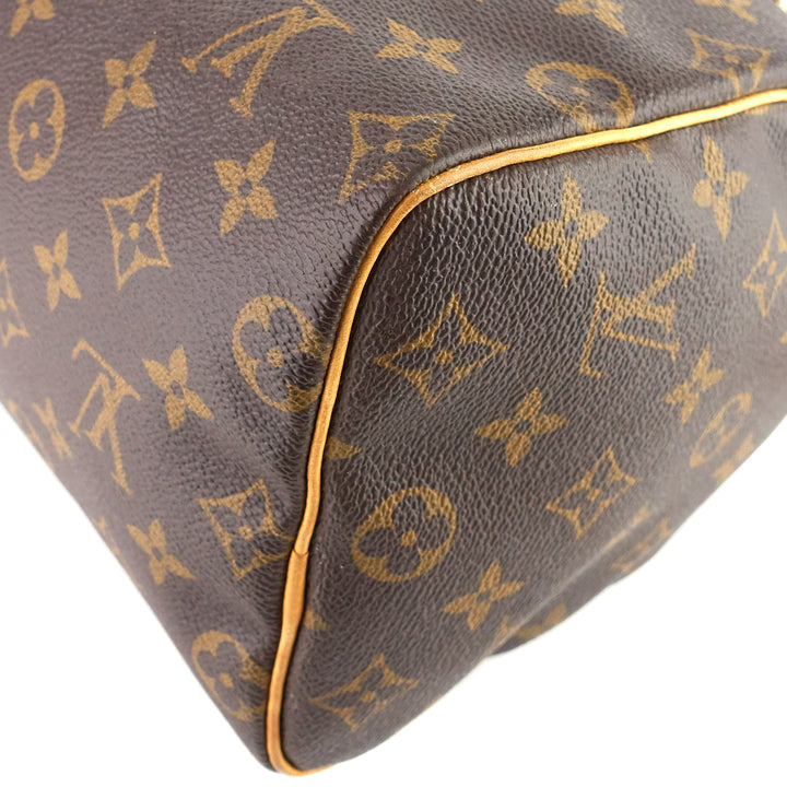 Speedy 25 Monogram Canvas Bag