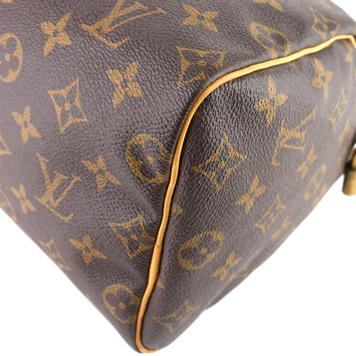 Speedy 25 Monogram Canvas Bag