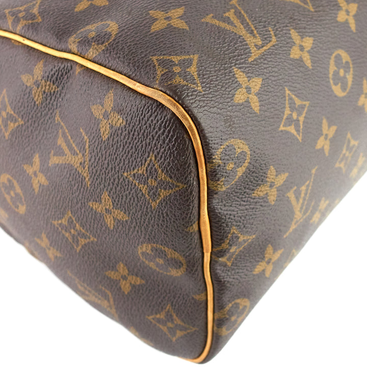 Speedy 25 Monogram Canvas Bag
